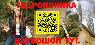 соль ск Пугачёв