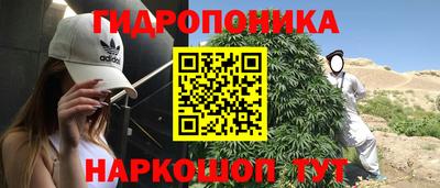 соль ск Пугачёв