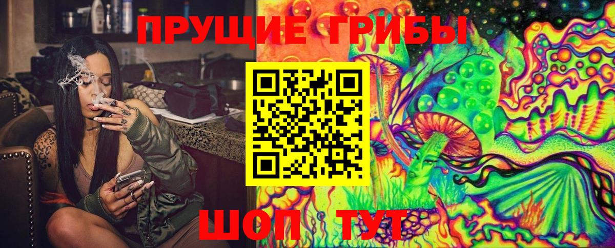 Галлюциногенные грибы Psilocybine cubensis Орёл