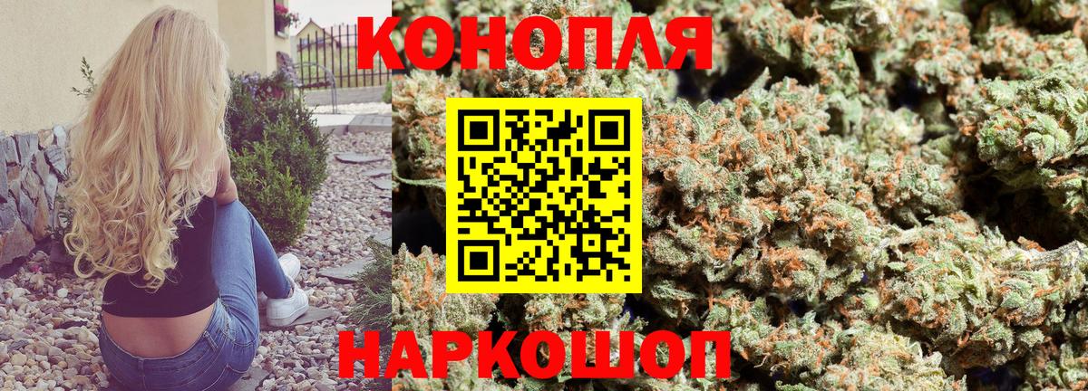 Бошки марихуана марихуана  Вход с VPN  МАРИХУАНА ГИДРОПОН  Орёл 